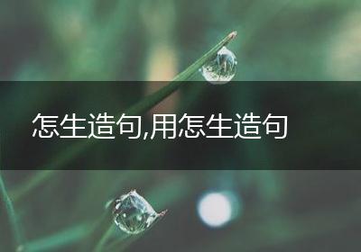 怎生造句,用怎生造句