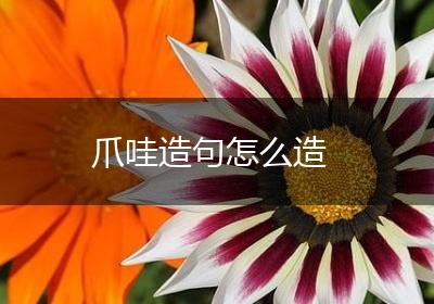 爪哇造句怎么造