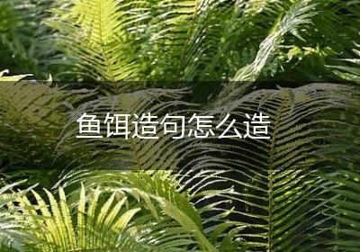 鱼饵造句怎么造