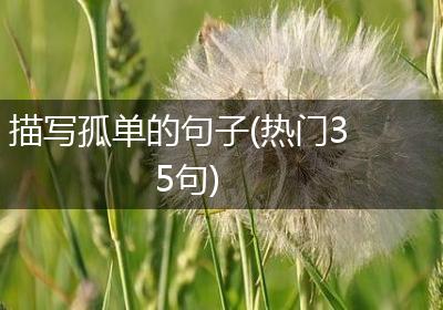 描写孤单的句子(热门35句)