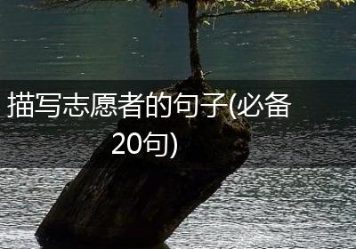 描写志愿者的句子(必备20句)