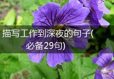 描写工作到深夜的句子(必备29句)