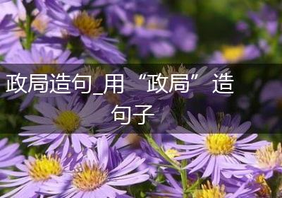 政局造句_用“政局”造句子