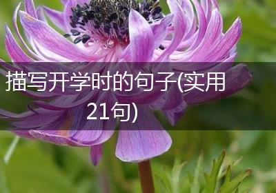 描写开学时的句子(实用21句)