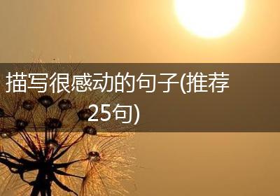 描写很感动的句子(推荐25句)