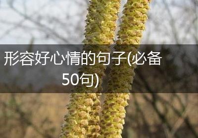 形容好心情的句子(必备50句)