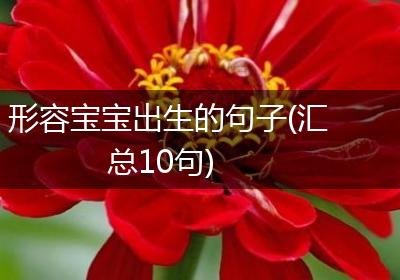 形容宝宝出生的句子(汇总10句)