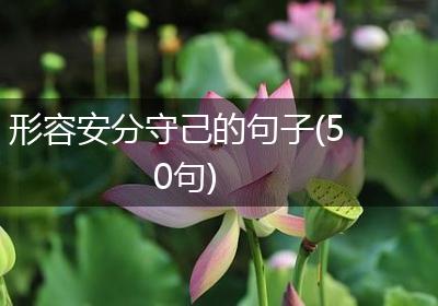 形容安分守己的句子(50句)