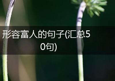形容富人的句子(汇总50句)