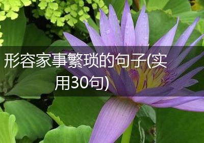 形容家事繁琐的句子(实用30句)