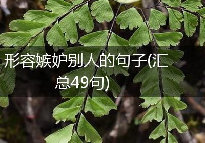 形容嫉妒别人的句子(汇总49句)