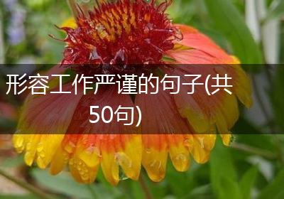 形容工作严谨的句子(共50句)