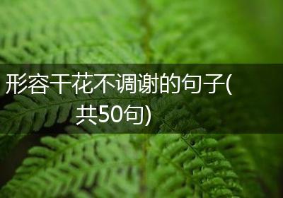 形容干花不调谢的句子(共50句)