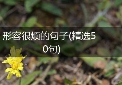 形容很烦的句子(精选50句)