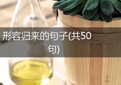 形容归来的句子(共50句)