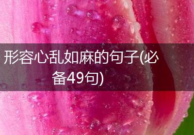 形容心乱如麻的句子(必备49句)
