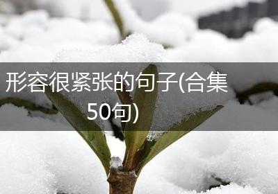 形容很紧张的句子(合集50句)