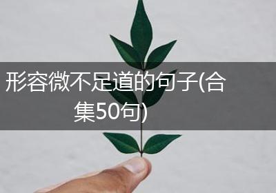 形容微不足道的句子(合集50句)