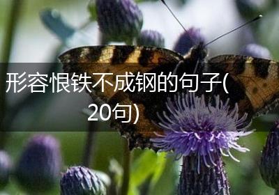 形容恨铁不成钢的句子(20句)