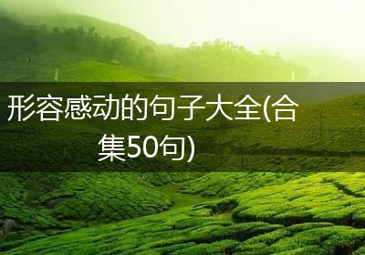 形容感动的句子大全(合集50句)