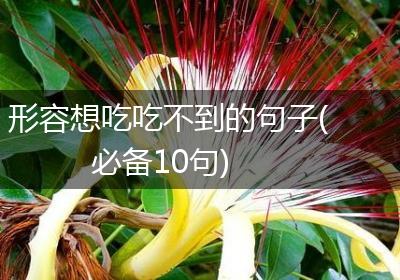 形容想吃吃不到的句子(必备10句)