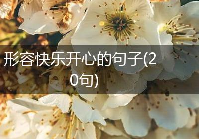 形容快乐开心的句子(20句)