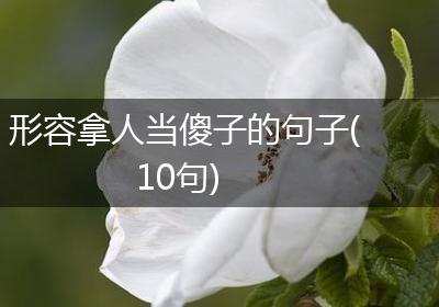 形容拿人当傻子的句子(10句)