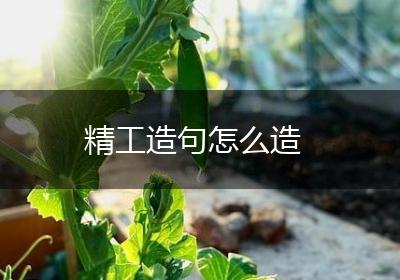 精工造句怎么造