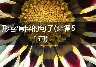 形容憔悴的句子(必备51句)