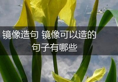 镜像造句 镜像可以造的句子有哪些