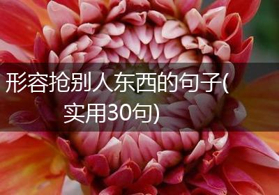 形容抢别人东西的句子(实用30句)