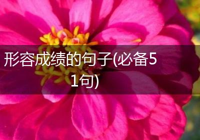 形容成绩的句子(必备51句)
