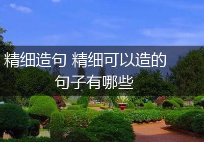 精细造句 精细可以造的句子有哪些
