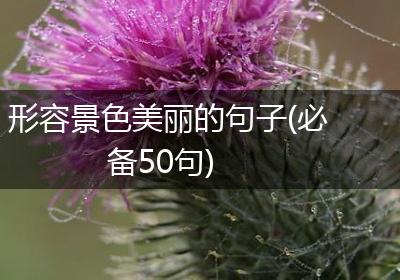 形容景色美丽的句子(必备50句)