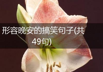 形容晚安的搞笑句子(共49句)