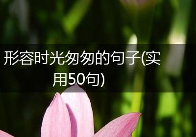 形容时光匆匆的句子(实用50句)