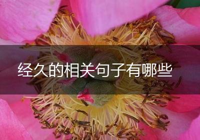 经久的相关句子有哪些