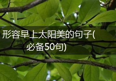 形容早上太阳美的句子(必备50句)