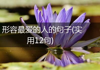 形容最爱的人的句子(实用12句)