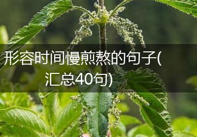 形容时间慢煎熬的句子(汇总40句)