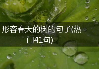 形容春天的树的句子(热门41句)