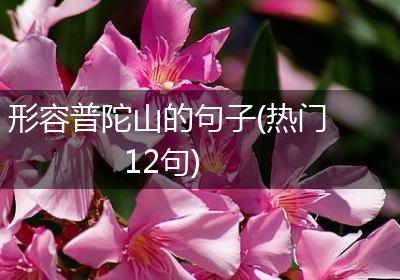 形容普陀山的句子(热门12句)