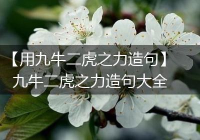 【用九牛二虎之力造句】九牛二虎之力造句大全
