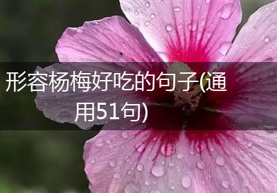 形容杨梅好吃的句子(通用51句)