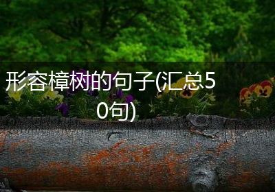 形容樟树的句子(汇总50句)