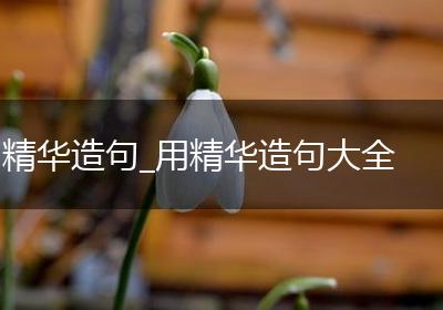 精华造句_用精华造句大全