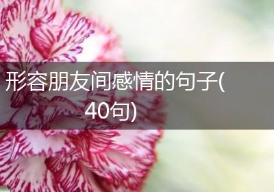 形容朋友间感情的句子(40句)