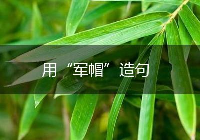 用“军帽”造句