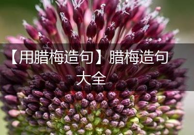 【用腊梅造句】腊梅造句大全