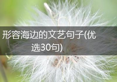 形容海边的文艺句子(优选30句)